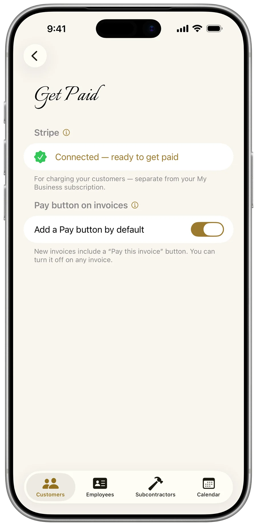 My Business — a connected Stripe account, ready to accept card payments